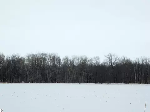 N/a Swenson Road, Au Gres, MI 48703 photo 10