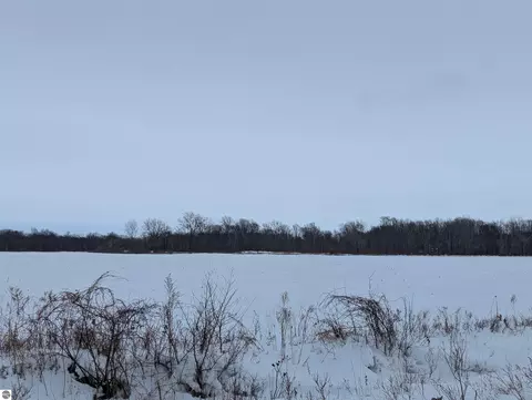N/a Swenson Road, Au Gres, MI 48703 photo 7