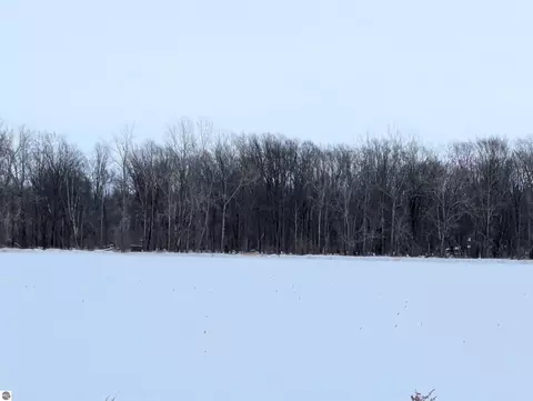 N/a Swenson Road, Au Gres, MI 48703 photo 12
