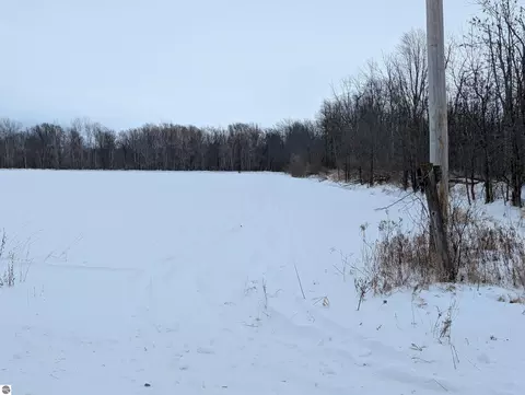 N/a Swenson Road, Au Gres, MI 48703 photo 14