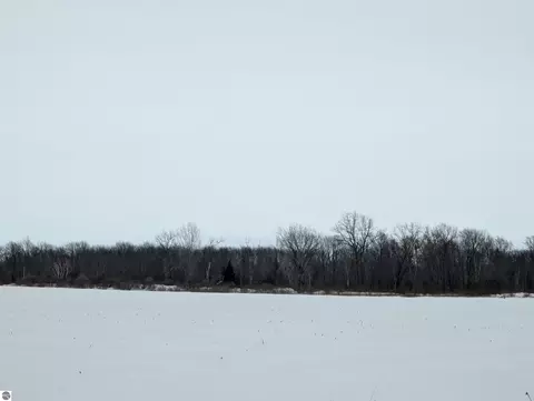 N/a Swenson Road, Au Gres, MI 48703 photo 3