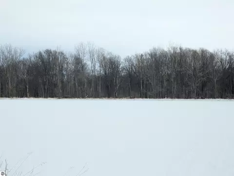 N/a Swenson Road, Au Gres, MI 48703 photo 16