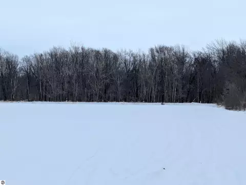N/a Swenson Road, Au Gres, MI 48703 photo 15