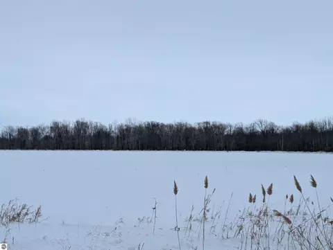 N/a Swenson Road, Au Gres, MI 48703 photo 13