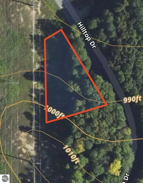 lot199 Hilltop Dr, Bellaire, MI 49615