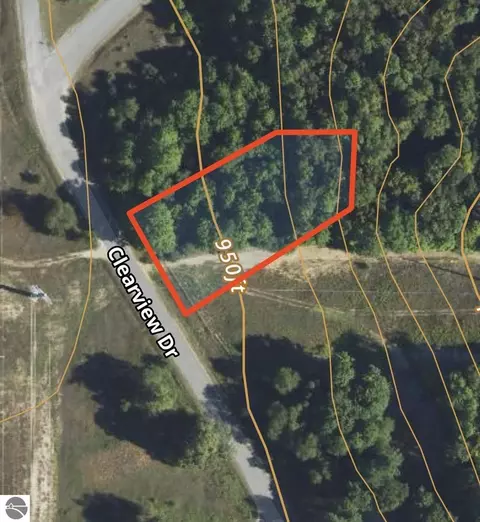 lot202 Clearview Dr, Bellaire, MI 49615