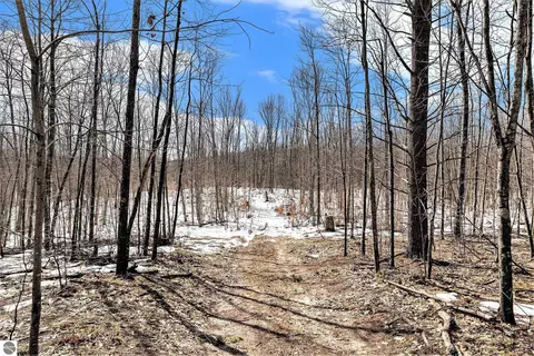 00 Indian Hill Rd, Honor, MI 49640