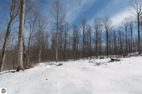 W Timber View Trail, Empire, MI 49630 photo 9