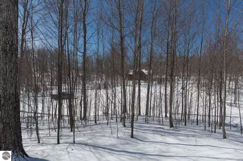 W Timber View Trail, Empire, MI 49630 photo 13