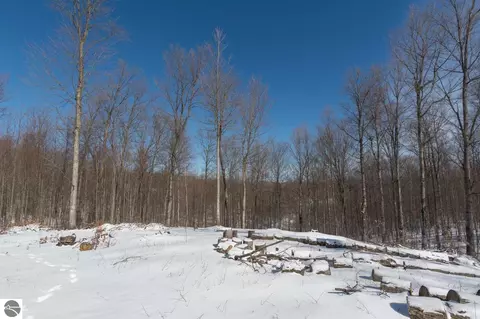 W Timber View Trail, Empire, MI 49630 photo 10