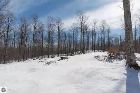 W Timber View Trail, Empire, MI 49630 photo 8
