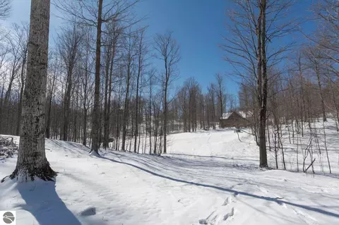 W Timber View Trail, Empire, MI 49630 photo 15