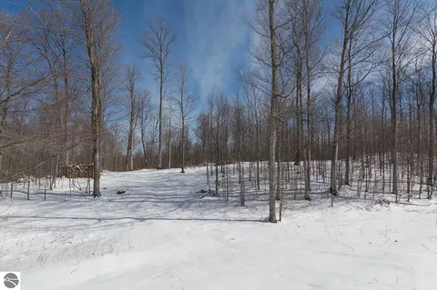 W Timber View Trail, Empire, MI 49630 photo 3