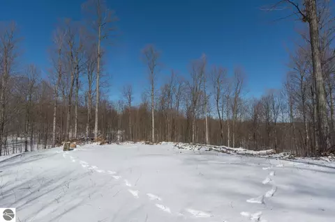 W Timber View Trail, Empire, MI 49630 photo 14