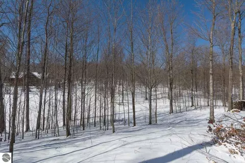 W Timber View Trail, Empire, MI 49630 photo 12