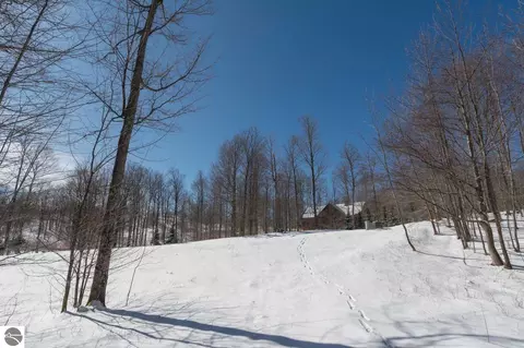 W Timber View Trail, Empire, MI 49630 photo 19