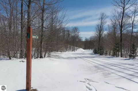 W Timber View Trail, Empire, MI 49630 photo 2