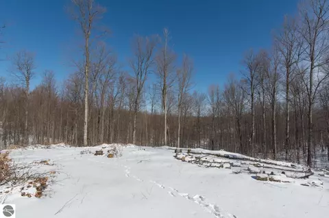 W Timber View Trail, Empire, MI 49630 photo 11