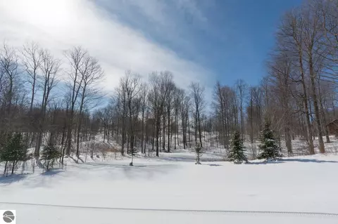 W Timber View Trail, Empire, MI 49630 photo 18