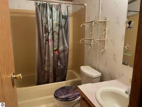 320 N 2nd St, Edmore, MI 48829 photo 5