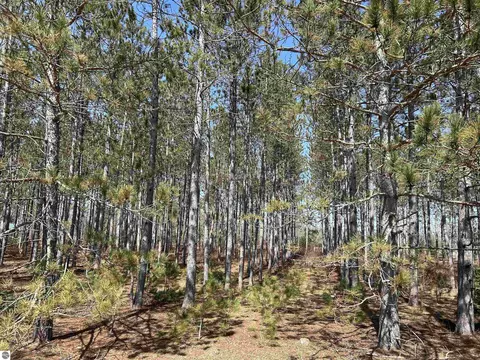 lot4 Meadow Ln, Thompsonville, MI 49683