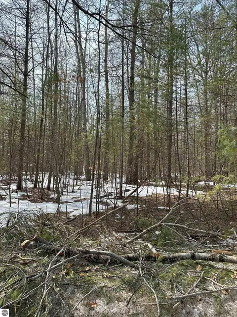 00 E Bear Lake Rd, Kalkaska, MI 49646