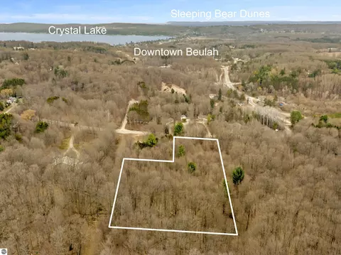 00 River St, Benzonia, MI 49616