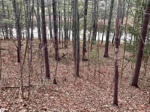 00 Lazy Ridge Trl # C, Lake Ann, MI 49650