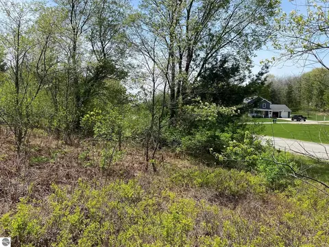 Crestview Drive, Cadillac, MI 49601