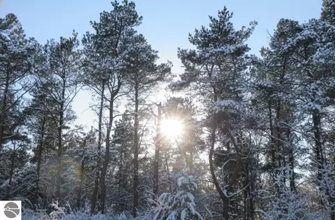 Parcel F-3 N 2 1/2 Road, Buckley, MI 49620