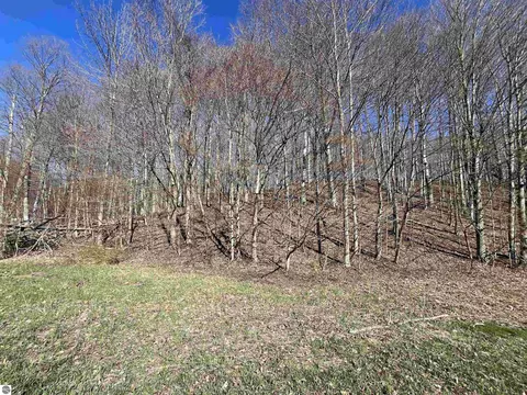 Parcel C Lobb Road, Frankfort, MI 49635