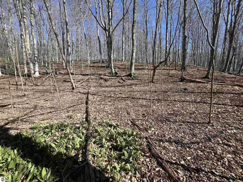 Parcel D Lobb Road, Frankfort, MI 49635