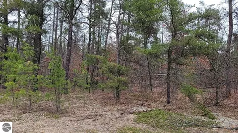 20 Acres Sandy Trl, Grayling, MI 49738