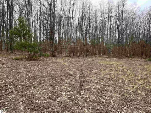 Paradise Ridge Trail, Traverse City, MI 49684