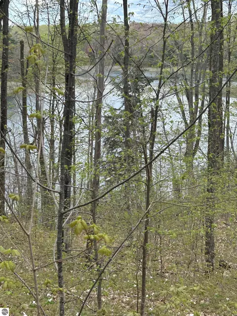 V/l Hardwood Drive, Alba, MI 49611