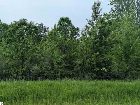 N/a Twining Road, Au Gres, MI 48703 photo 8