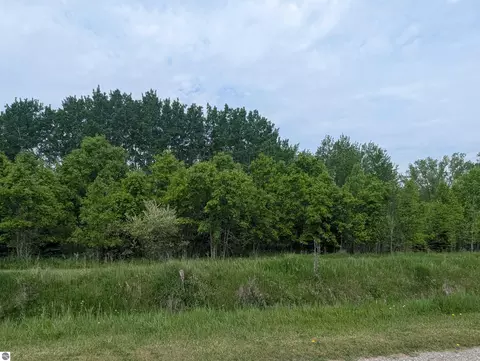 N/a Twining Road, Au Gres, MI 48703 photo 2