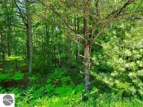 0 Hillside Dr, Alger, MI 48610
