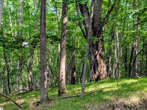 11717 Broken Arrow, Canadian Lakes, MI 49346