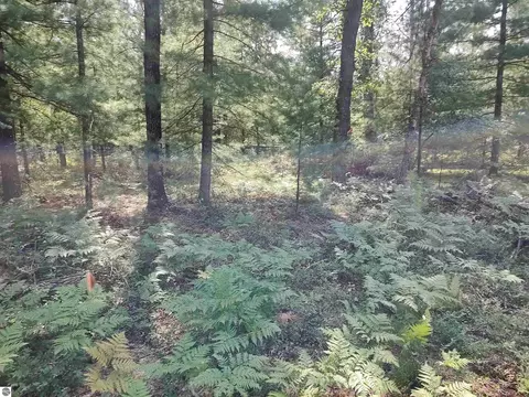 lot186 Winterset Dr, Alger, MI 48610