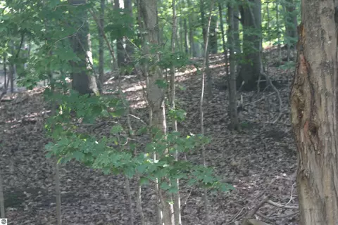 lot20 Crystal View Cmns, Beulah, MI 49617