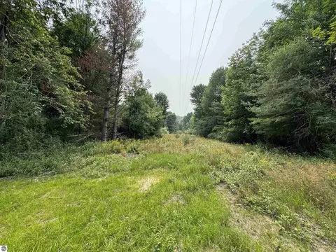 2 East Bellinger Road, Cedar, MI 49621 photo 11