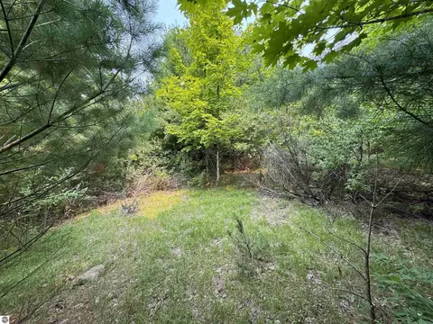 2 East Bellinger Road, Cedar, MI 49621 photo 10