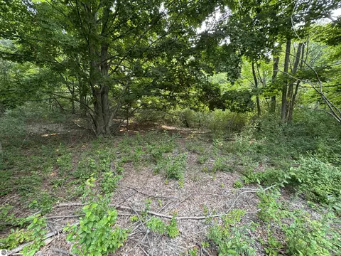 2 East Bellinger Road, Cedar, MI 49621 photo 8