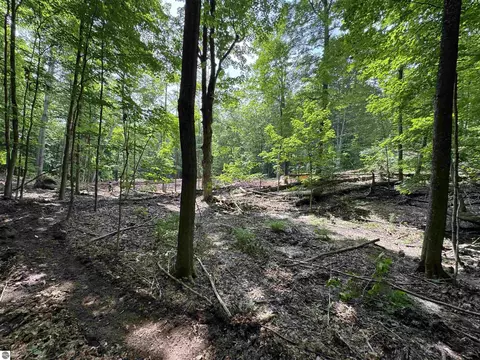 lot E Apt 5 E Bellinger Rd, Cedar, MI 49621 photo 12