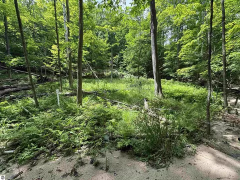 lot E Apt 5 E Bellinger Rd, Cedar, MI 49621 photo 8