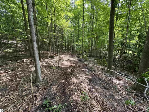 lot E Apt 5 E Bellinger Rd, Cedar, MI 49621 photo 11