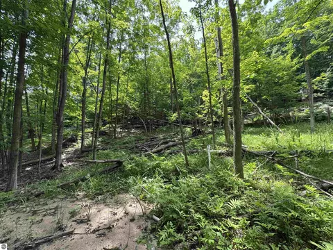 lot E Apt 5 E Bellinger Rd, Cedar, MI 49621 photo 13