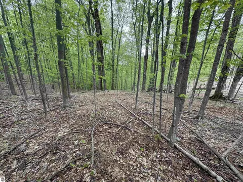 lot E Apt 5 E Bellinger Rd, Cedar, MI 49621 photo 10