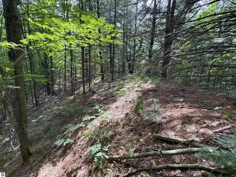 lot E Apt 5 E Bellinger Rd, Cedar, MI 49621 photo 17